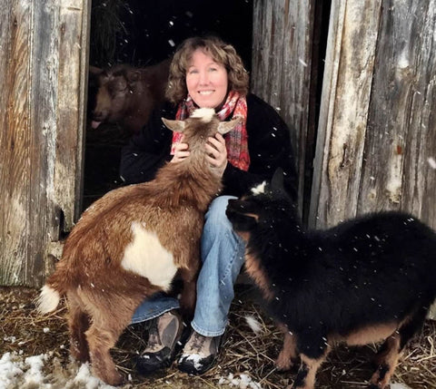Charlottetown Farm