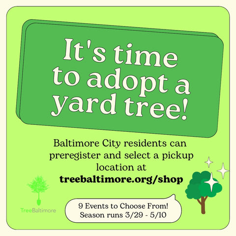 Tree Adoption with TreeBaltimore