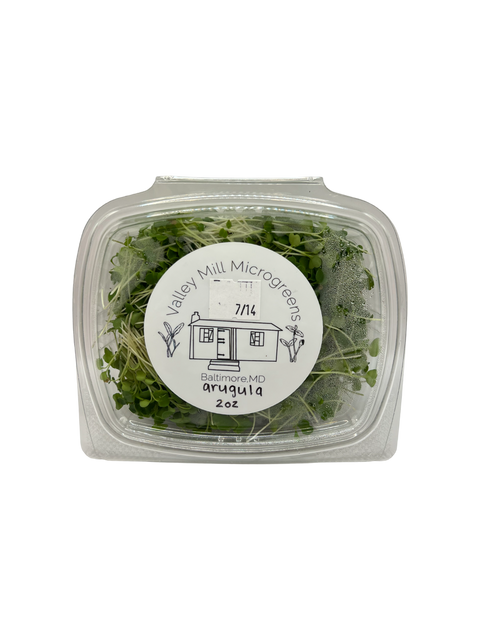 Arugula Microgreens
