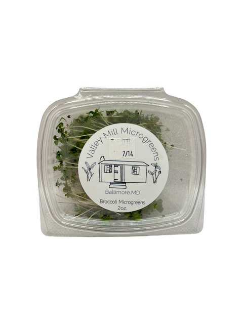 Broccoli Microgreens