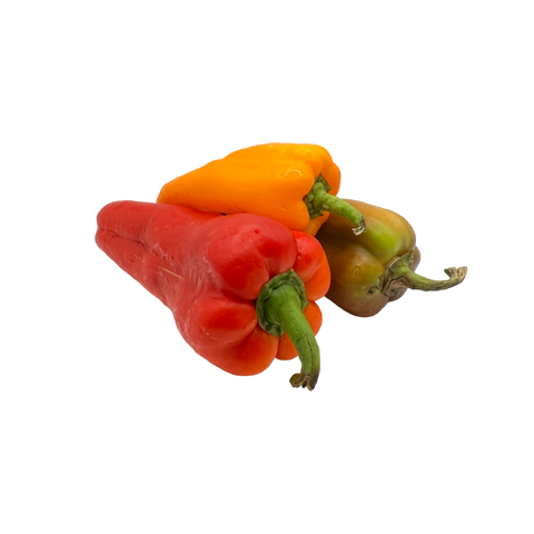 Organic Jimmy Nardello Peppers - per lb