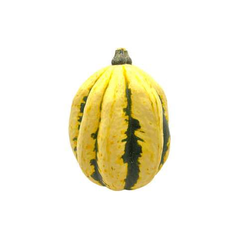 Delicata Squash - Per Pound