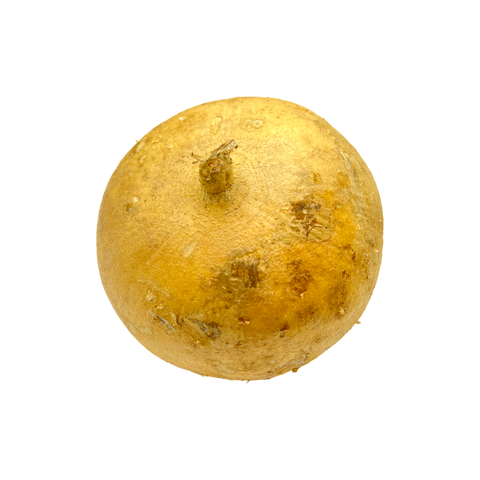Jicama - Per Pound