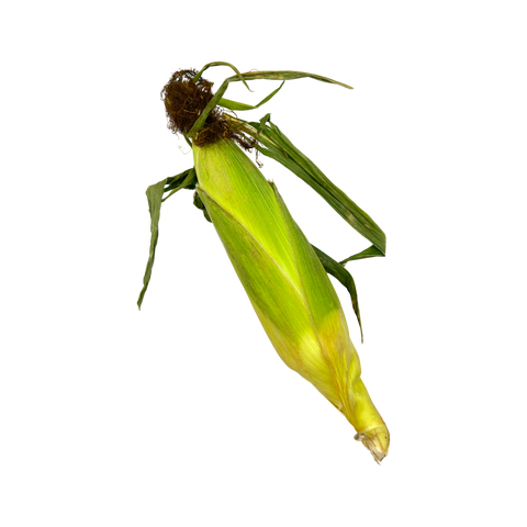 Corn on the Cob - Each