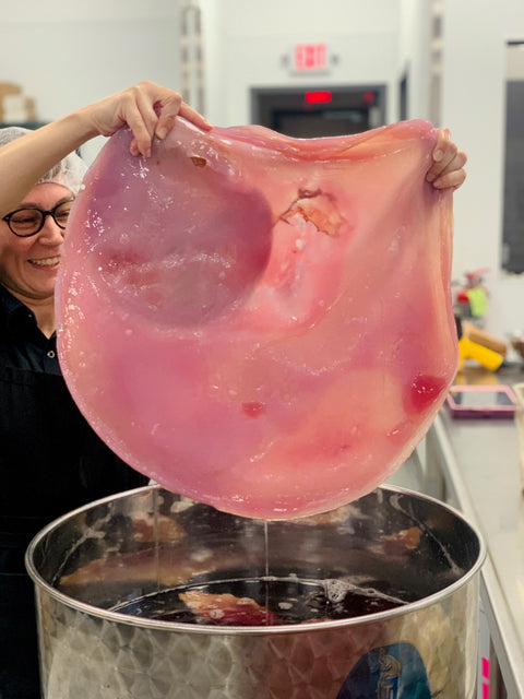 Kombucha Workshop: September 13th