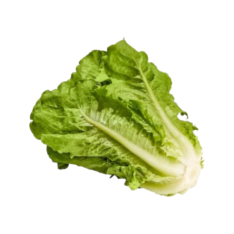 Organic Romaine Head - Each