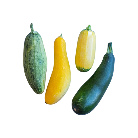Summer Squash - Per Pound