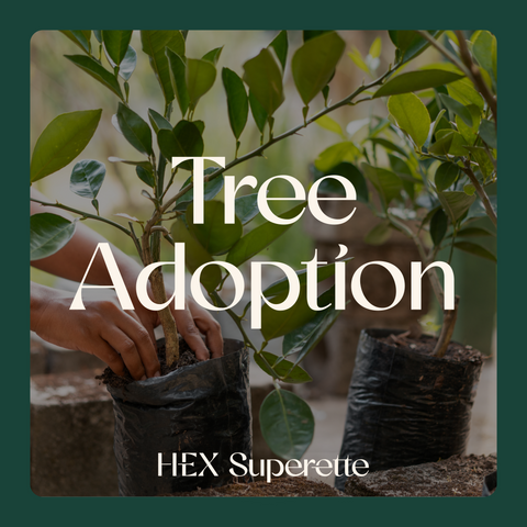 Adopt a Tree