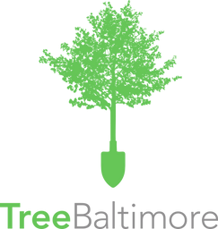 Adopt a Tree
