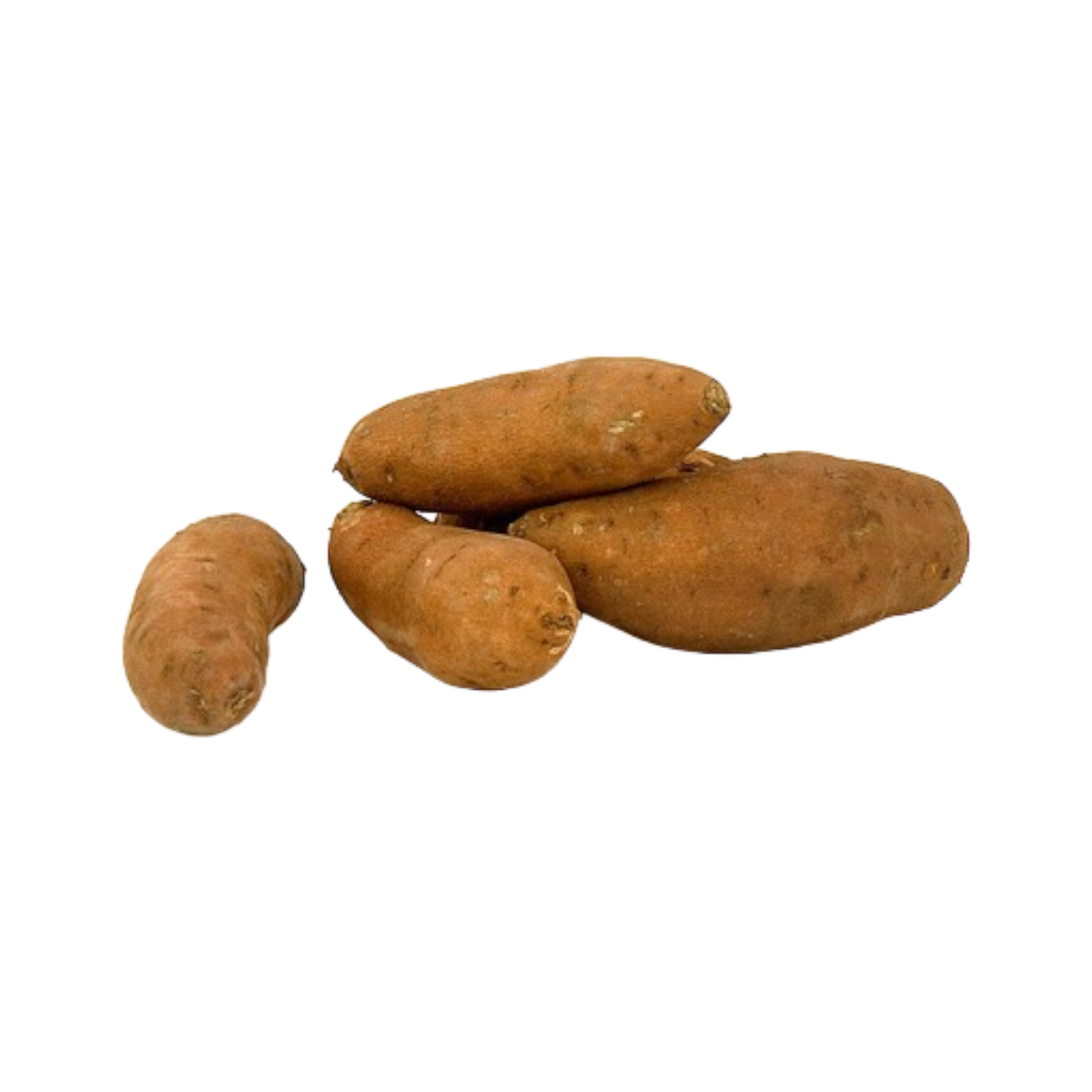 Lancaster Cooperative Organic White Potatoes