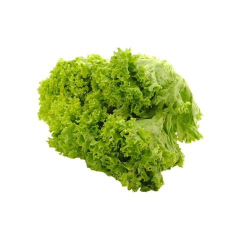 Organic Lettuce Head - Each