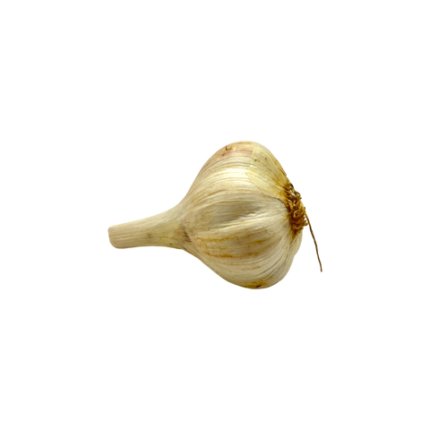 Organic Whole Garlic