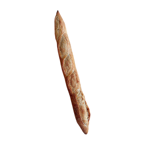 Ovenbird Baguette